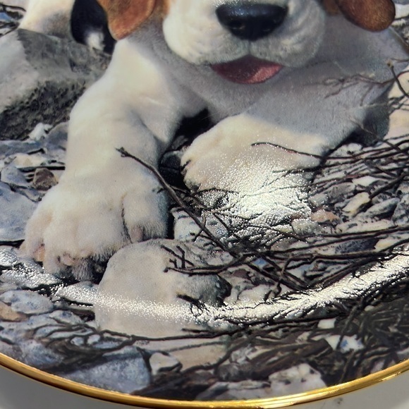 BEAGLES lovers plate by Simon‎ Mendez - Picture 3 of 10